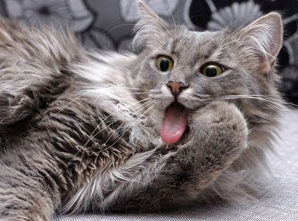 Умываеие Умываеие