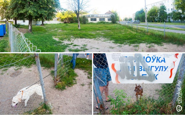 Выгул собак на площадке Выгул собак на площадке