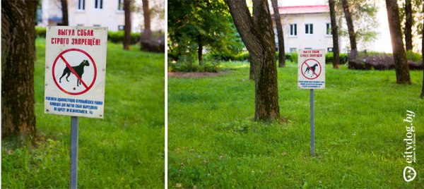 Табличка "Выгул собак запрещен!" Табличка "Выгул собак запрещен!"