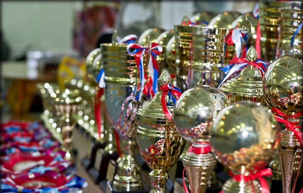 Выставки собак. Кубки Выставки собак. Кубки