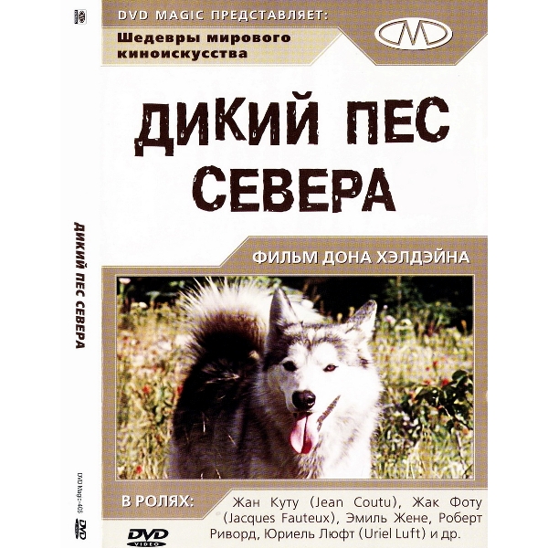 Дикий пес севера