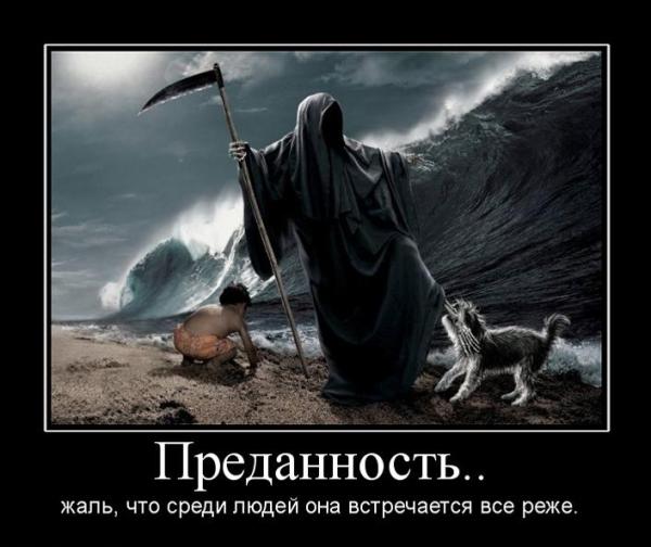 Пёс, который предотвратил самоубийство своей хозяйки
