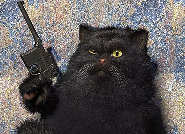 Кошка спасла подростка от смерти Кошка спасла подростка от смерти