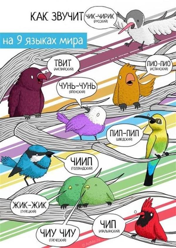Иллюстрации художника Джеймса Чапмена