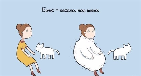 9 причин завести себе кота