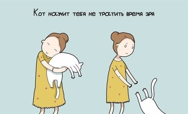 9 причин завести себе кота