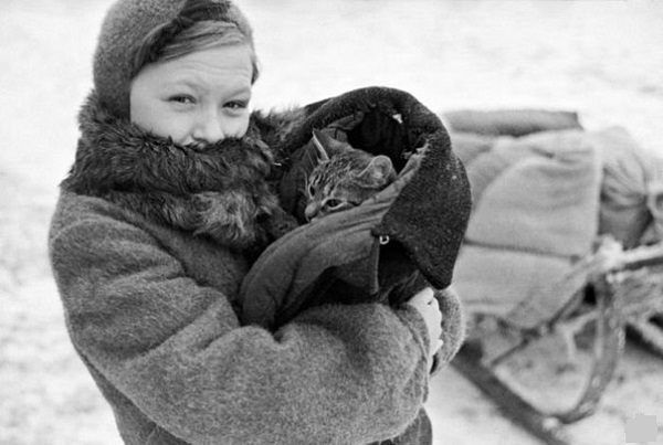 Кот во время блокады в Ленинграде