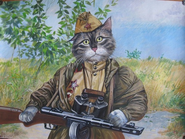 Коты на войне