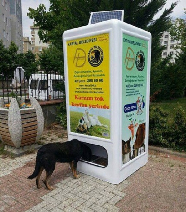 Автомат для кормления бездомных животных