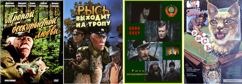 Рысенок по кличке Кунак появился на советских экранах в начале 1970-х годов. В фильме &laquo;Тропой бескорыстной любви&raquo;