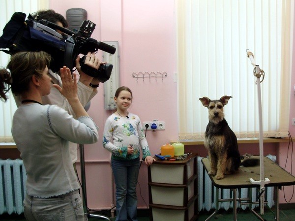 съемка передачи "Своя компания" телеканала "ЛАД"