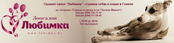 зоосалон Любимка, Гомель