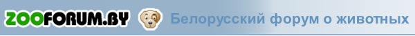 Белорусский форум о животных Белорусский форум о животных