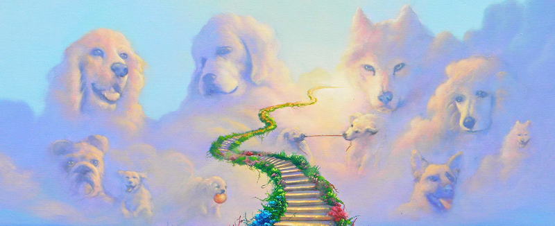 Услуги для животных в Минске: ритуальные услуги для животных