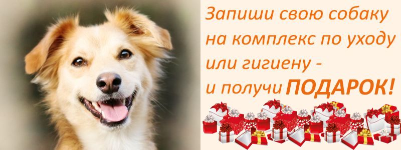 всем записавшимся на комплекс по уходу или гигиену мы дарим ПОДАРКИ!