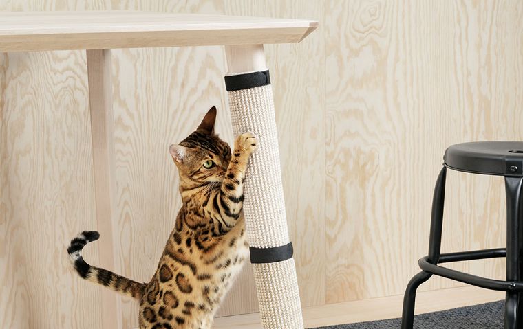 IKEA для собак и котов: когтеточка