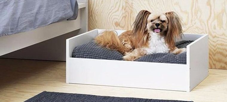 IKEA для собак: диванчик для маленькой собачки